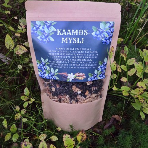 Lappi-sarjan Kaamos-mysli