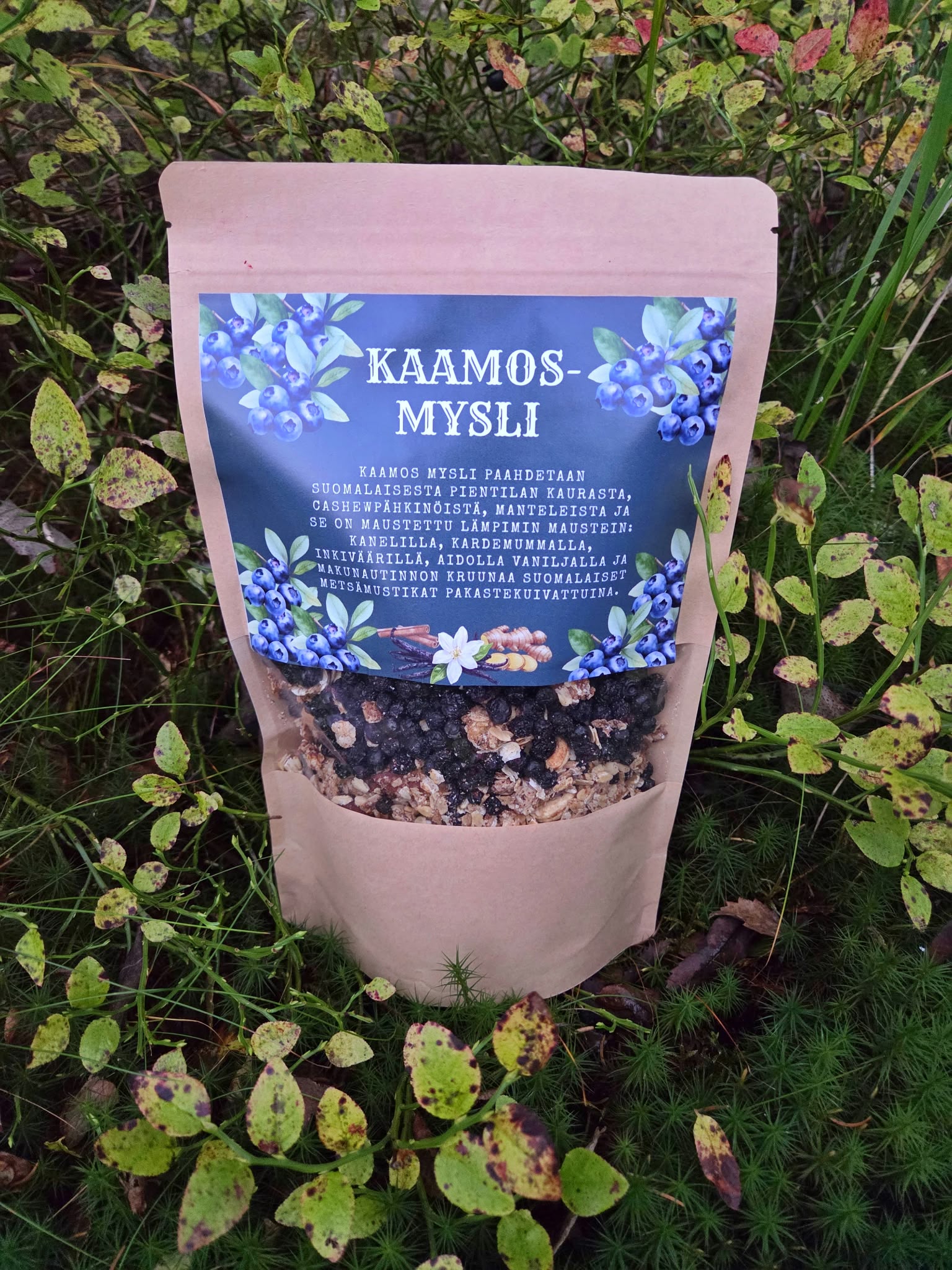 Lappi-sarjan Kaamos-mysli