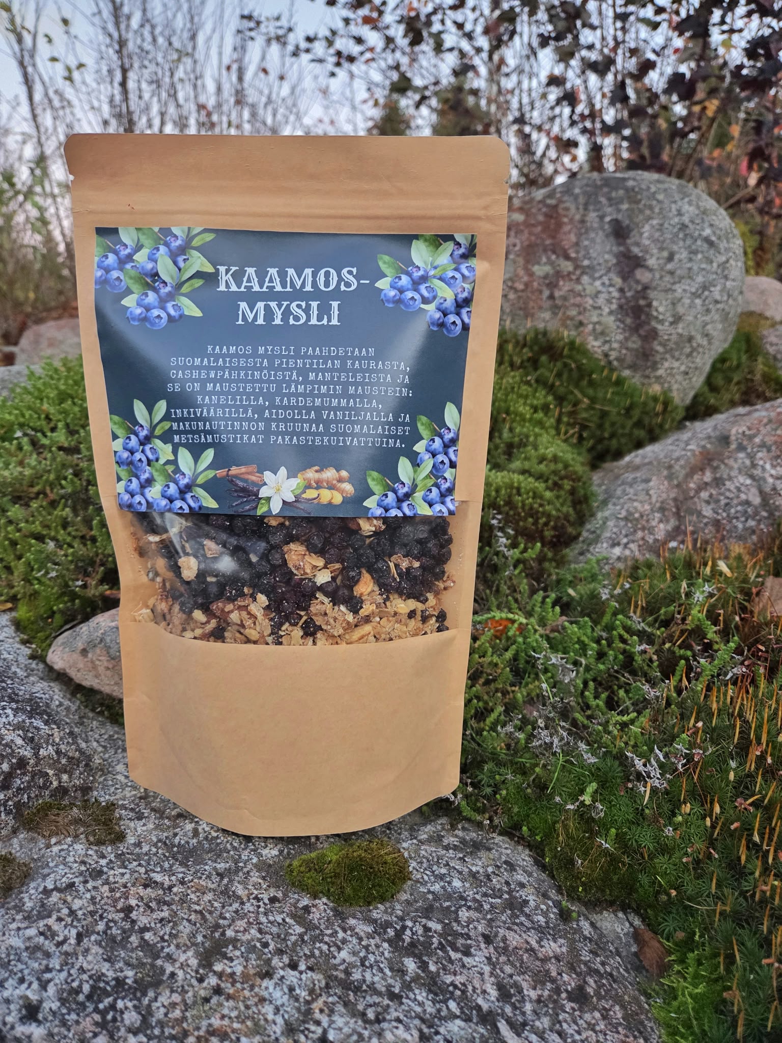 Lappi-sarjan Kaamos-mysli - Image 3