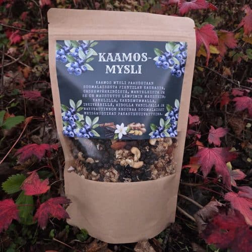 kaamos_kuva3