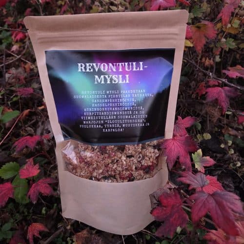 Lappi-sarjan Revontuli-mysli