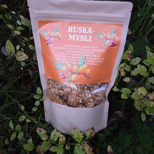 ruska_kuva1